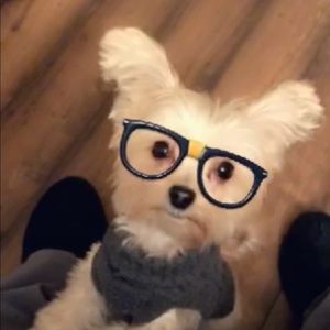 Meet your Posher, Lori